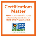 NOW Foods, Sunflower Lecithin, Pure Powder, 1 lb (454 g)